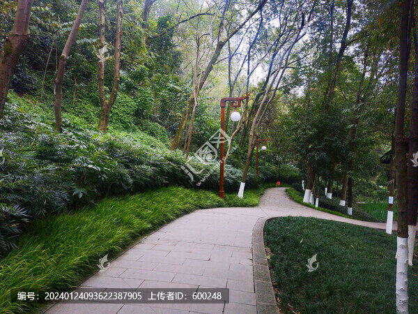 公園里的步道
