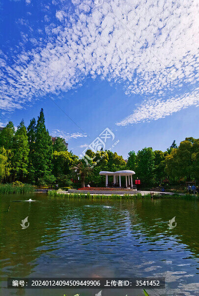 上海三泉公園
