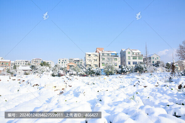 雪景