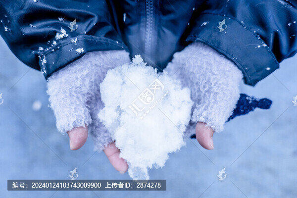 白色雪球