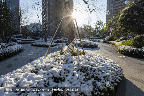 冬季雪景日出陽(yáng)光