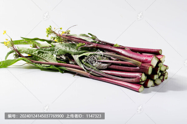 菜苔