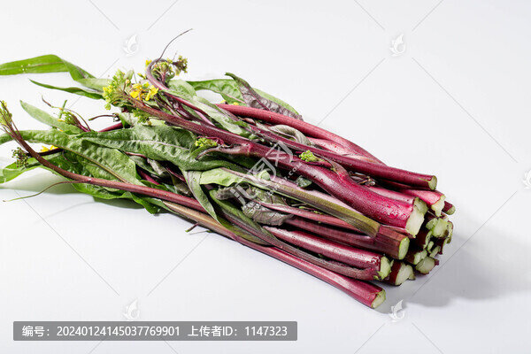 紅油菜苔