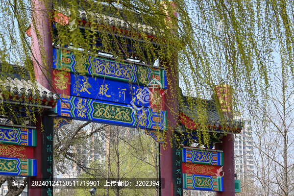 春季的沈陽(yáng)渾河晚渡公園