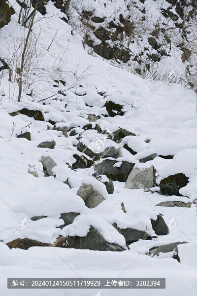 山谷小溪的石頭上落滿了雪