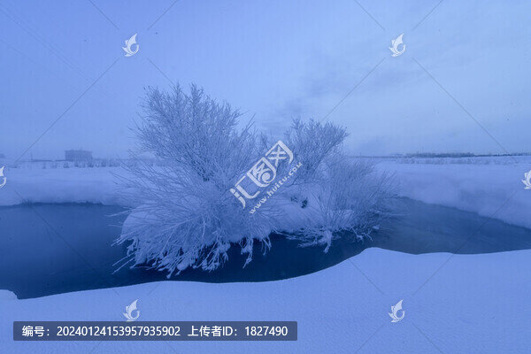 雪