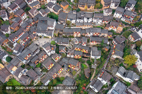 江西上饒婺源篁嶺曬秋
