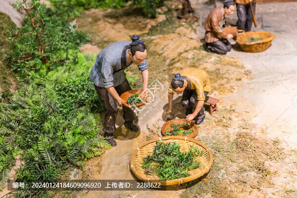 古代中藥泡制過(guò)程