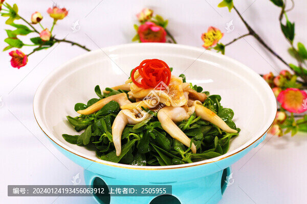 馬齒筧熗西施舌