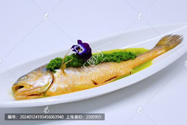 鱸魚(yú)
