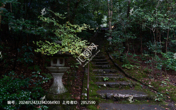 上山的路