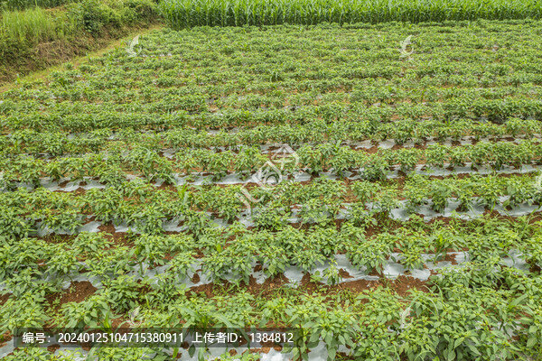 宜都市田園風(fēng)光