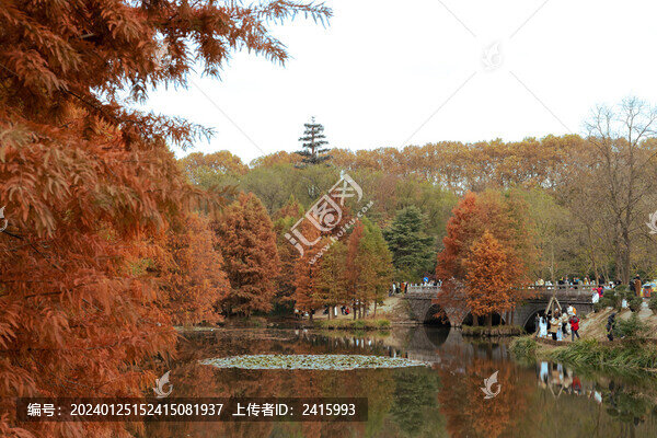 秋游景色