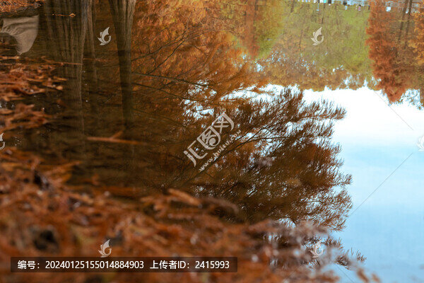 秋景倒影