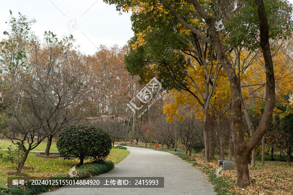 公園秋景