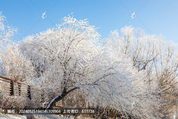 吉林霧凇