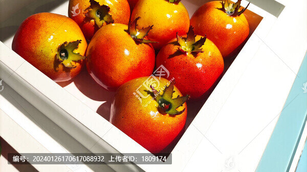 石榴模型