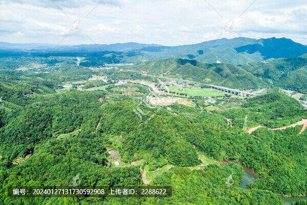 山