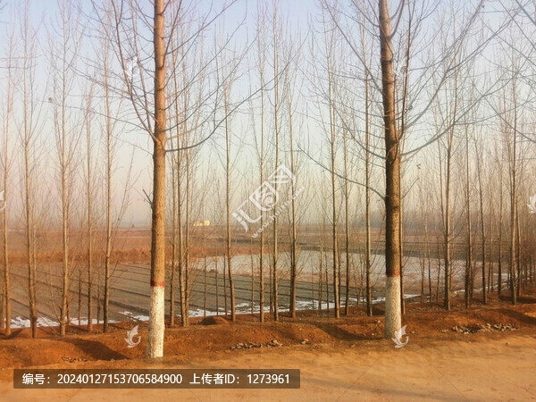 鄉(xiāng)村自然景色依然如故