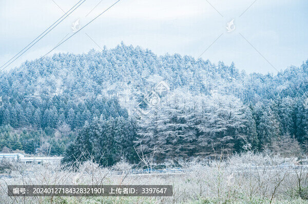 四明山雪景