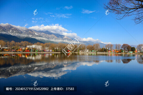 蒼山雪景