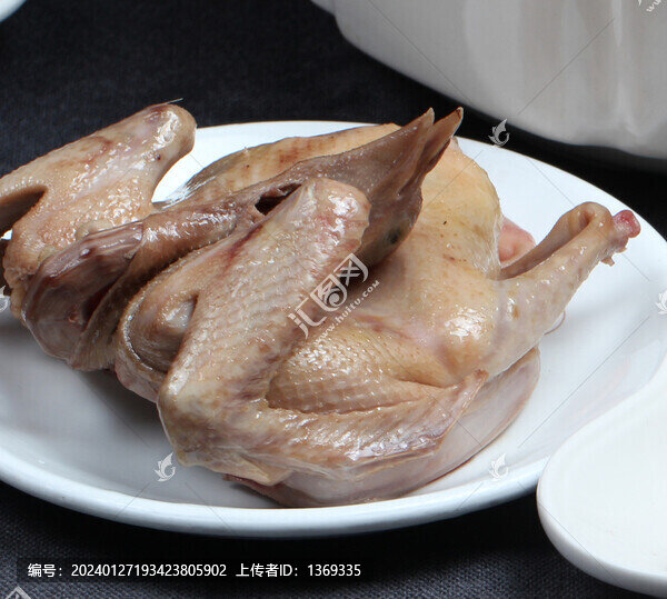 燉老鴿