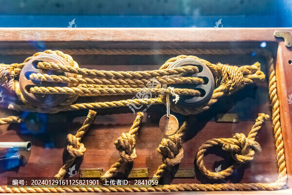 20世紀(jì)水手結(jié)展示板