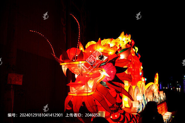龍