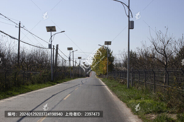 秋天的路