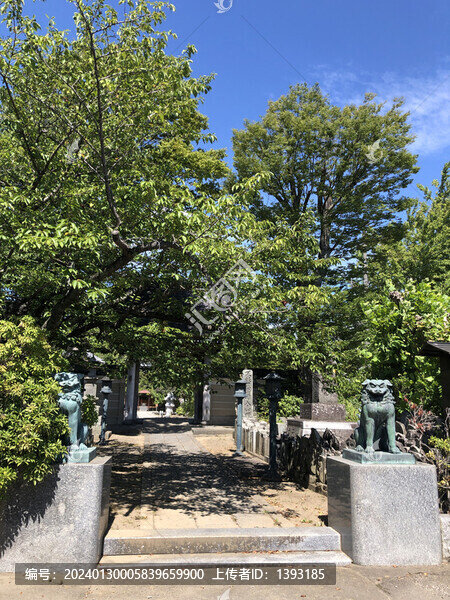 日本佛教寺廟表參道神獸石獸