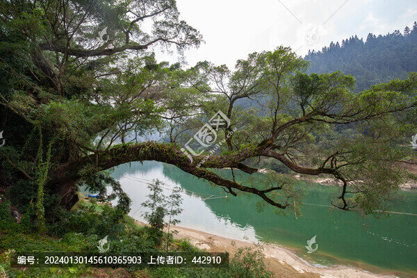都柳江風(fēng)光