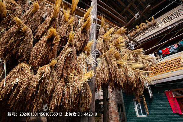 增沖村
