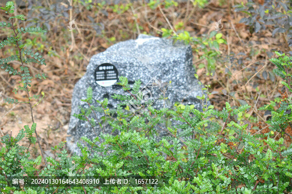 小區(qū)隱藏音響