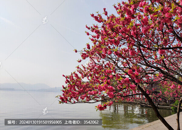 杭州西湖