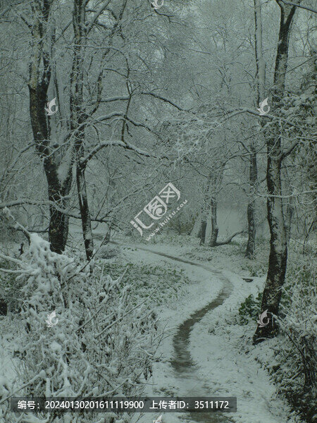 南方下雪圖
