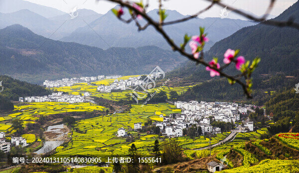 婺源江嶺