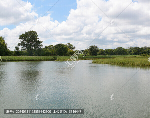 湖邊