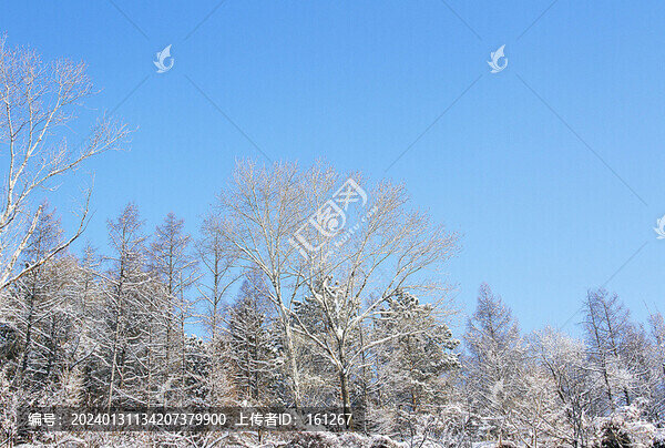 北國雪淞美如畫
