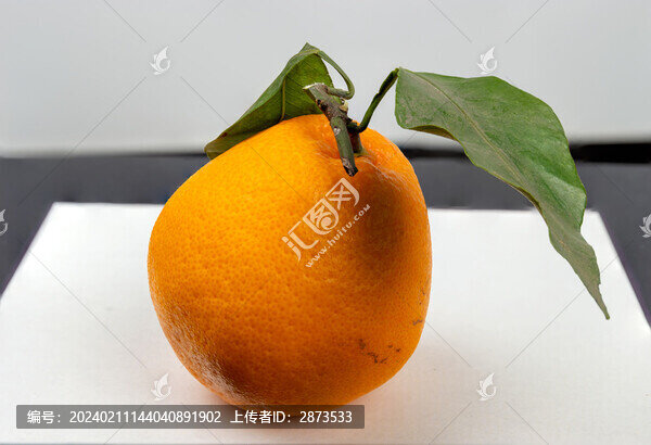 四川春見(jiàn)粑粑橘