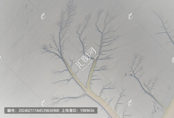 錢塘江潮汐樹