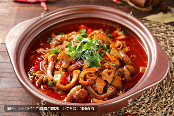 豬肚肥腸煲