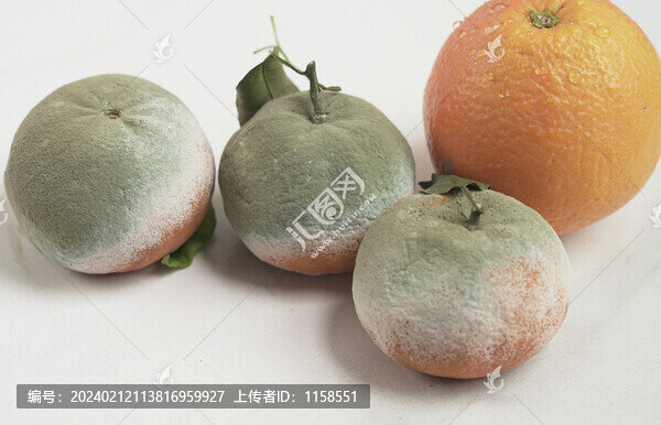壞水果