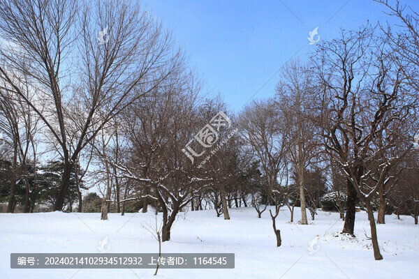 日照雪景