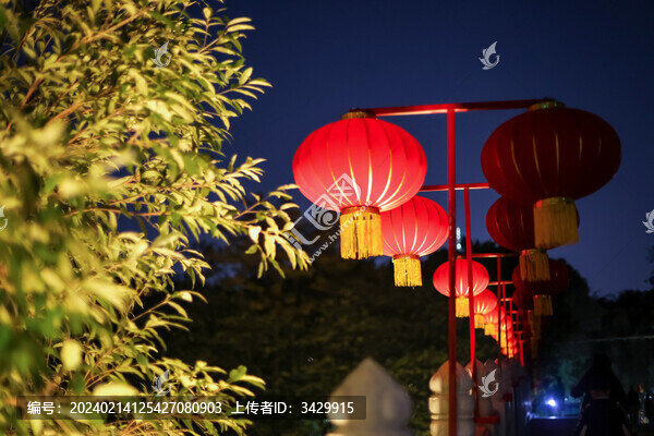 廣州海珠湖公園紅色燈籠裝飾
