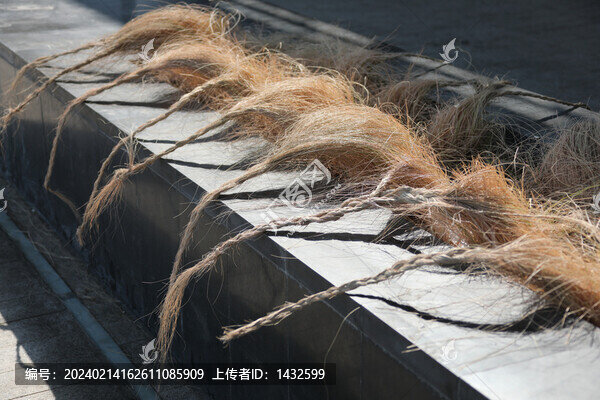 干草辮子