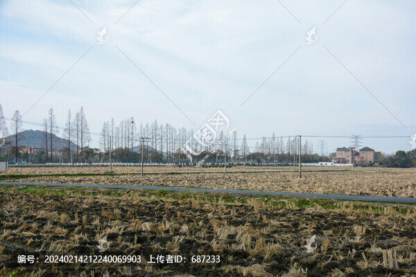 田地耕地