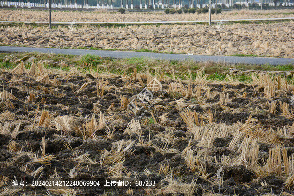 田地耕地