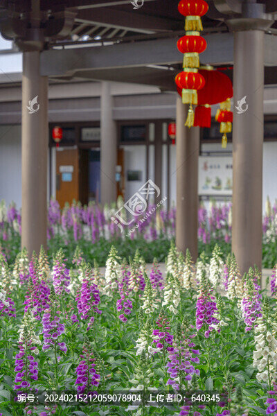 廣州文化館新館