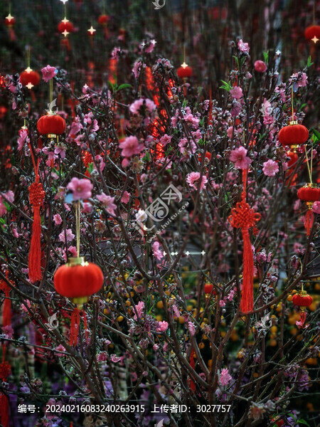 春節(jié)燈籠