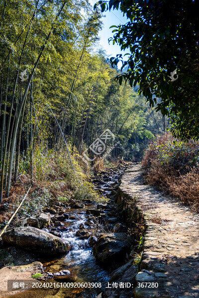 山澗竹林溪流